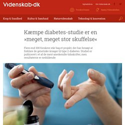 Kæmpe diabetes-studie er en »meget, meget stor skuffelse«