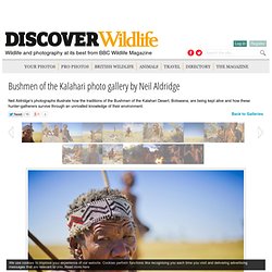 Bushmen of the Kalahari photo gallery by Neil Aldridge