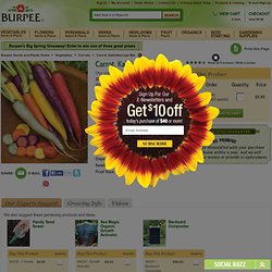 Kaleidoscope Mix Carrot Seeds and Plants, Vegetable Gardening at Burpee