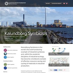Kalundborg Symbiosis - Case Studies