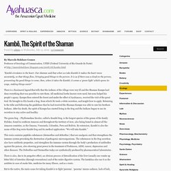 Kambô, The Spirit of the Shaman