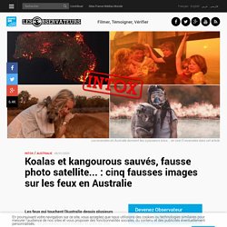 Koalas et kangourous sauvés, fausse photo satellite... : cinq fausses images sur les feux en Australie - France 24
