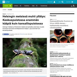Helsingin metsissä muhii yllätys: Keskuspuistossa enemmän kääpiä kuin kansallispuistossa