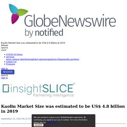 Kaolin Market Size was estimated to be US$ 4.8 billion in 2019