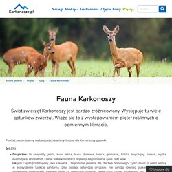 Fauna Karkonoszy