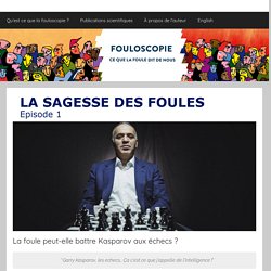 La foule peut-elle battre Kasparov aux échecs ? - Carnets de fouloscopie