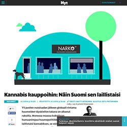 Kannabis kauppoihin: Näin Suomi sen laillistaisi - Huumeet