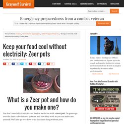 Keep your food cool without electricity: Zeer pots