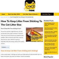 How To Keep Litter From Sticking To Box - Catthink