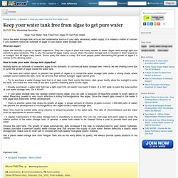 Keep your water tank free from algae to get pure water by Priti Das
