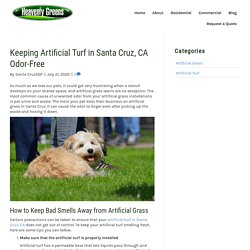 Keeping Artificial Turf in Santa Cruz, CA Odor-Free