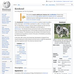 Keeshond