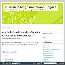 mix de keftés de boeuf et d'agneau et leur sauce verte ou yaourt - Elleisab,le blog d'une momoflinguée