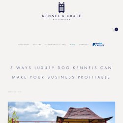 5 Ways Luxury Dog Kennels Can Make Your Business Profitable — Kennel & Crate