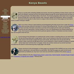 Kenya Beasts - Introduction