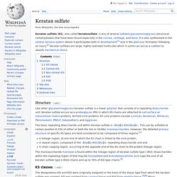 Keratan sulfate - Wikipedia