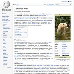 Kermode bear