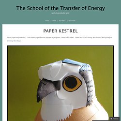 Paper Kestrel « The School of the Transfer of Energy
