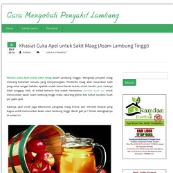 Khasiat Cuka Apel untuk Sakit Maag (Asam Lambung Tinggi)