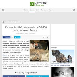 Khoma, le bébé mammouth de 50.000 ans, arrive en France