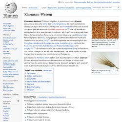 Khorasan-Weizen