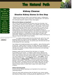 Kidney Cleanse – Keeping the Filters Clean of Kidney Stones