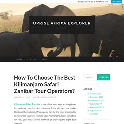 How To Choose The Best Kilimanjaro Safari Zanibar Tour Operators?