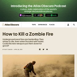 How to Kill a Zombie Fire - Atlas Obscura