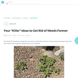 Four "Killer" Ideas to Get Rid of Weeds Forever DIY