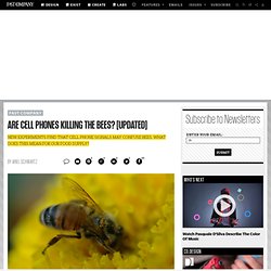 Are Cell Phones Killing The Bees? [Updated]