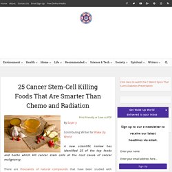 25 Cancer Stem-Cell Killing Foods That Are Smarter Than Chemo and Radiation