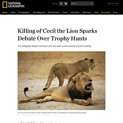 Killing of Cecil the Lion Sparks Debate Over Trophy Hunts