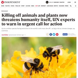 Killing off animals and plants now threatens humanity itself, UN experts to warn in urgent call for action