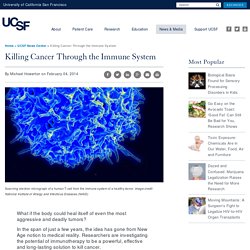 Killing Cancer Through the Immune System