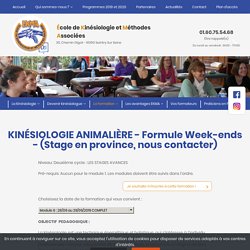 KINÉSIOLOGIE ANIMALIÈRE - Formule Week-ends - (Stage en province, nous contacter)-Formation-Ecole de kinesiologie Paris
