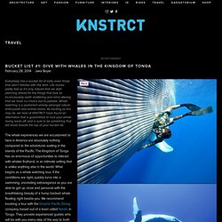 Bucket List #1: Dive With Whales in The Kingdom of Tonga — KNSTRCT - Carefully Curated Design News