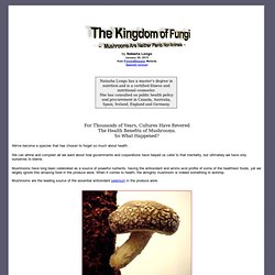The Kingdom of Fungi - Mushrooms Are Neither Plants Nor Animals