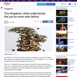 Tiny Kingdoms: Artist crafts bonsai like you’ve never seen before