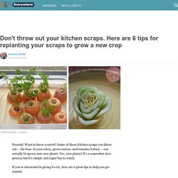Don't throw out your kitchen scraps. Here are 6 tips for replanting your scraps to grow a new crop