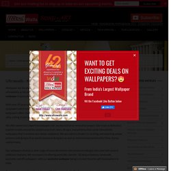 Kitchen Wallpaper Catalog, Washable Wallpaper, Borders Washable Wallpaper