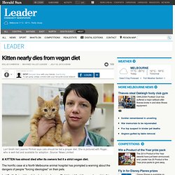 Kitten nearly dies from vegan diet