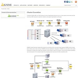 Cluster Execution