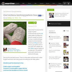 Owl mittens knitting pattern FREE - Providence knitting