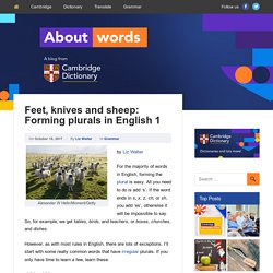Feet, knives and sheep: Forming plurals in English 1