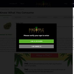 DIFFERENT TYPES OF CANNABIS PRODUCTS-