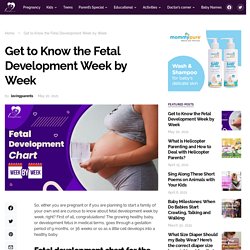 Get to Know the Fetal Development Week by Week