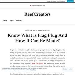 Know What is Frag Plug And How It Can Be Made? – ReefCreators