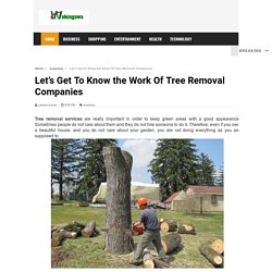 Let’s Get To Know the Work Of Tree Removal Companies