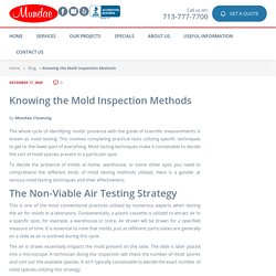 Knowing the Mold Inspection Methods