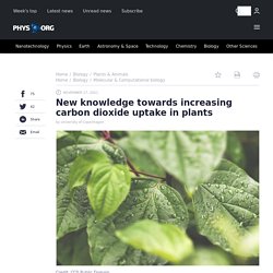 New knowledge towards increasing carbon dioxide uptake in plants